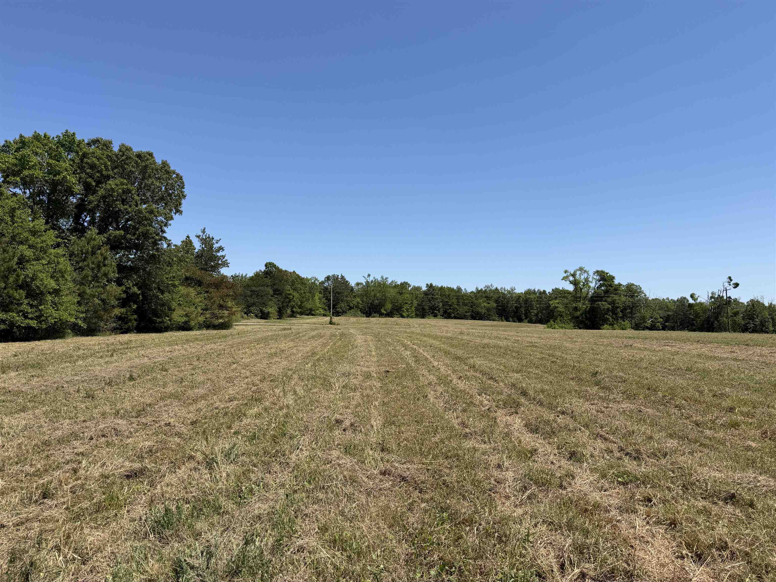 5 Bethlehem Road Adamsville, TN 38310 - Photo 1 of 9