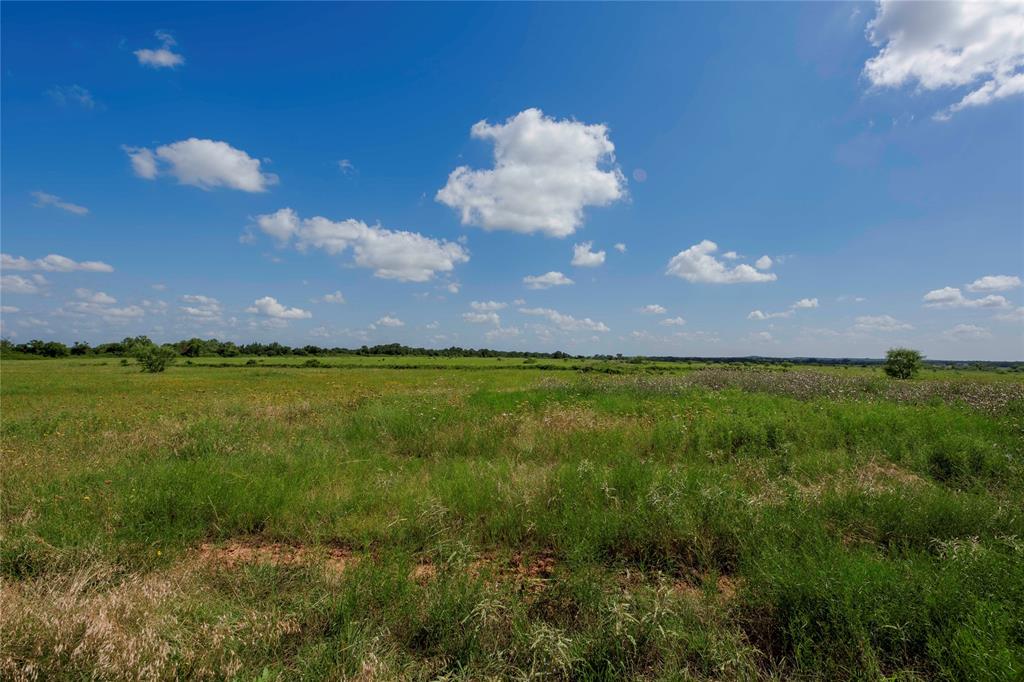 1217 Highway 2731 Rising Star, TX 76471 - Photo 3 of 9