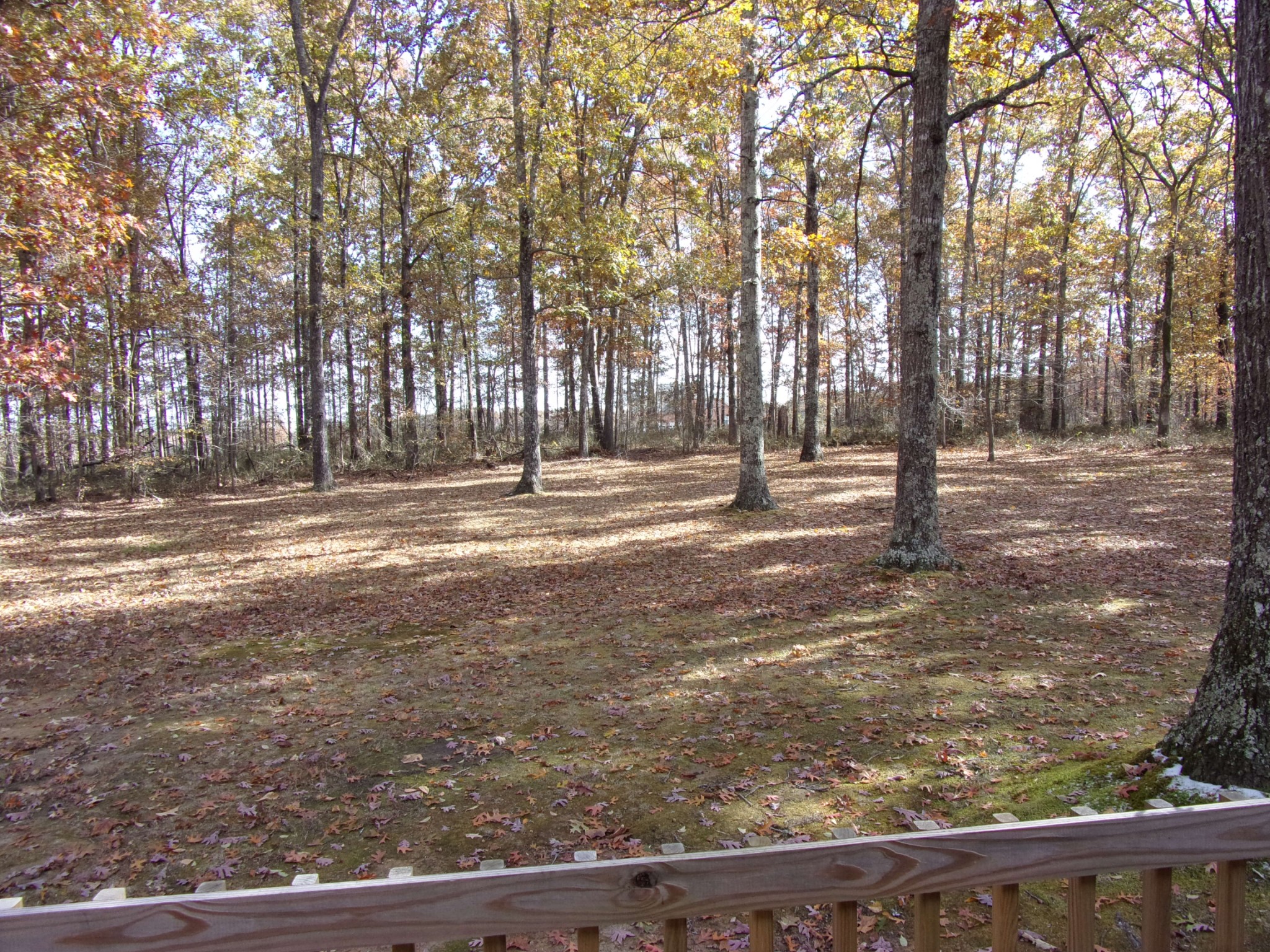 150 Deerfield Road Tullahoma, TN 37388 - Photo 4 of 16 Gallery Image 4