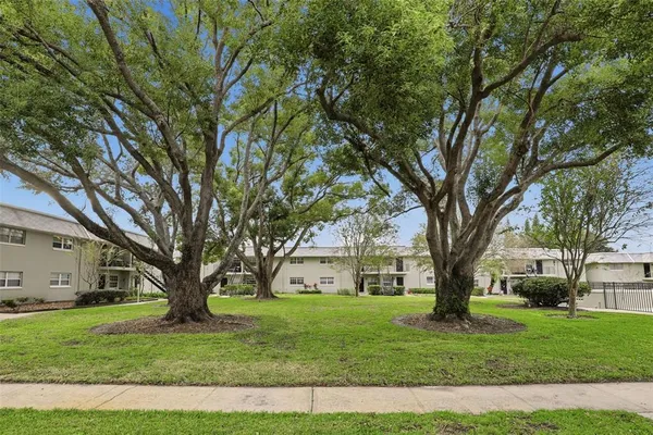 a tree in the grass with a big yard