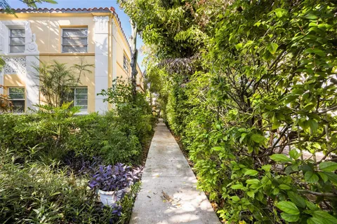 a view of a pathway with plants