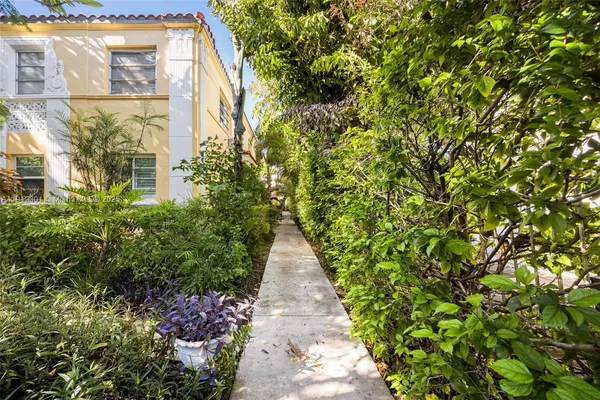 a view of a pathway with plants