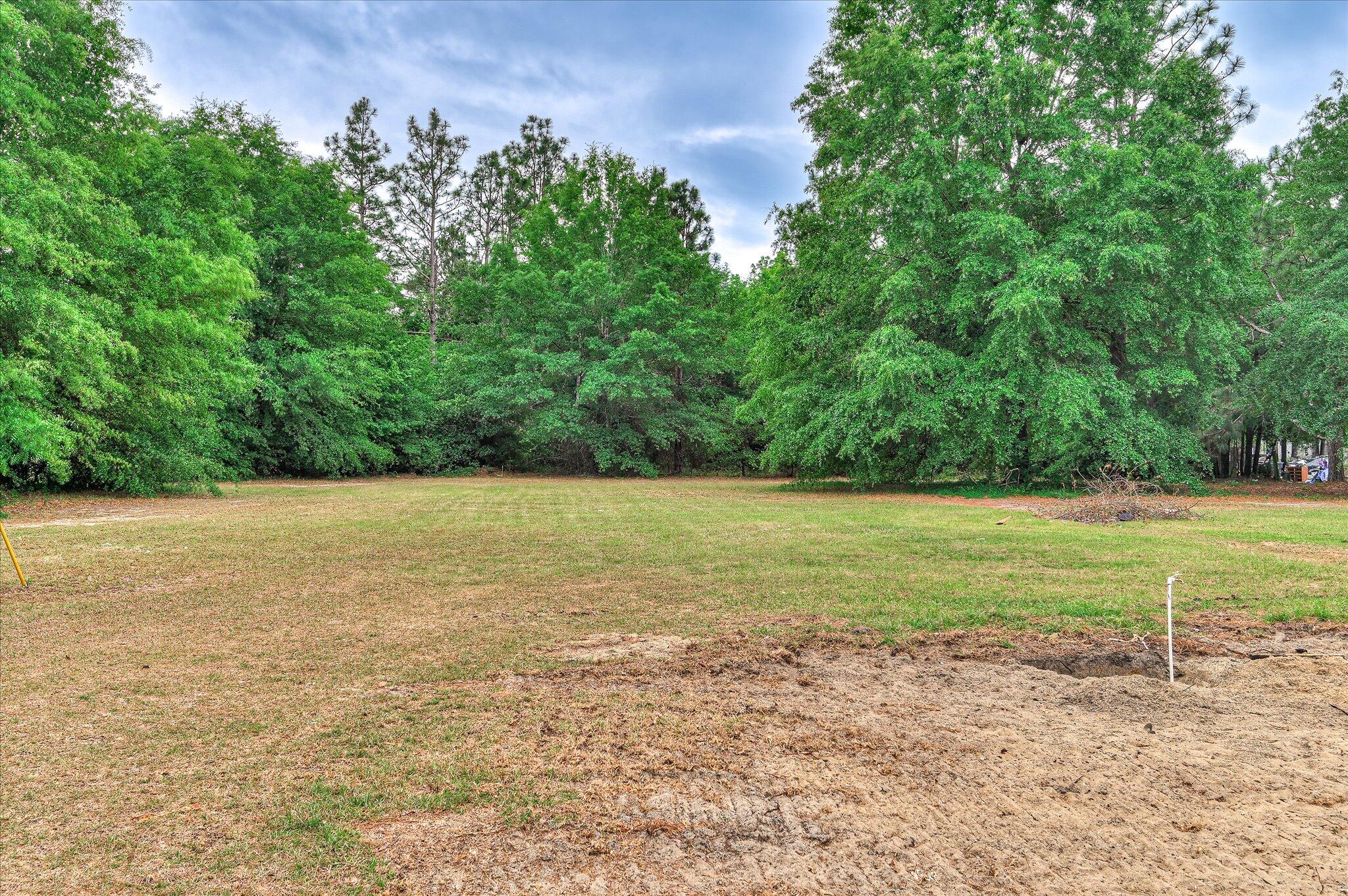 1086 Horseshoe Road Augusta, GA 30906 - Photo 37 of 43 Property lines extends past the tree line