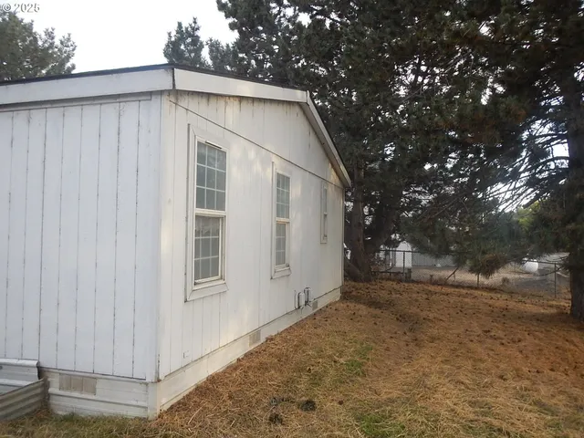 a view of a backyard with large tree