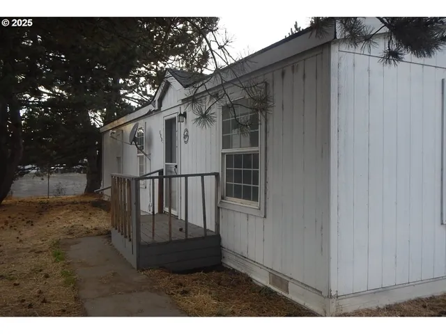 a view of a yard with large trees