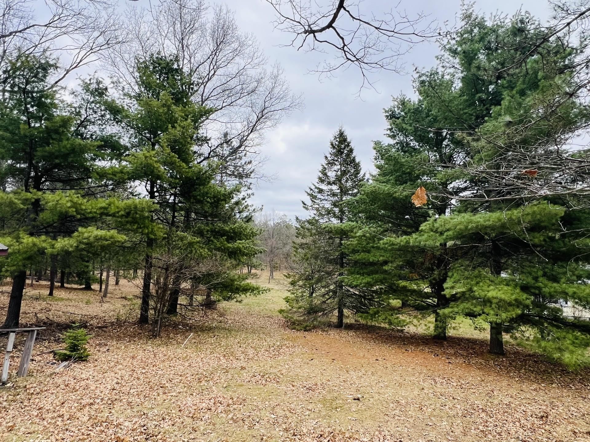 2400 Curtis Road National City, MI 48748 - Photo 22 of 53