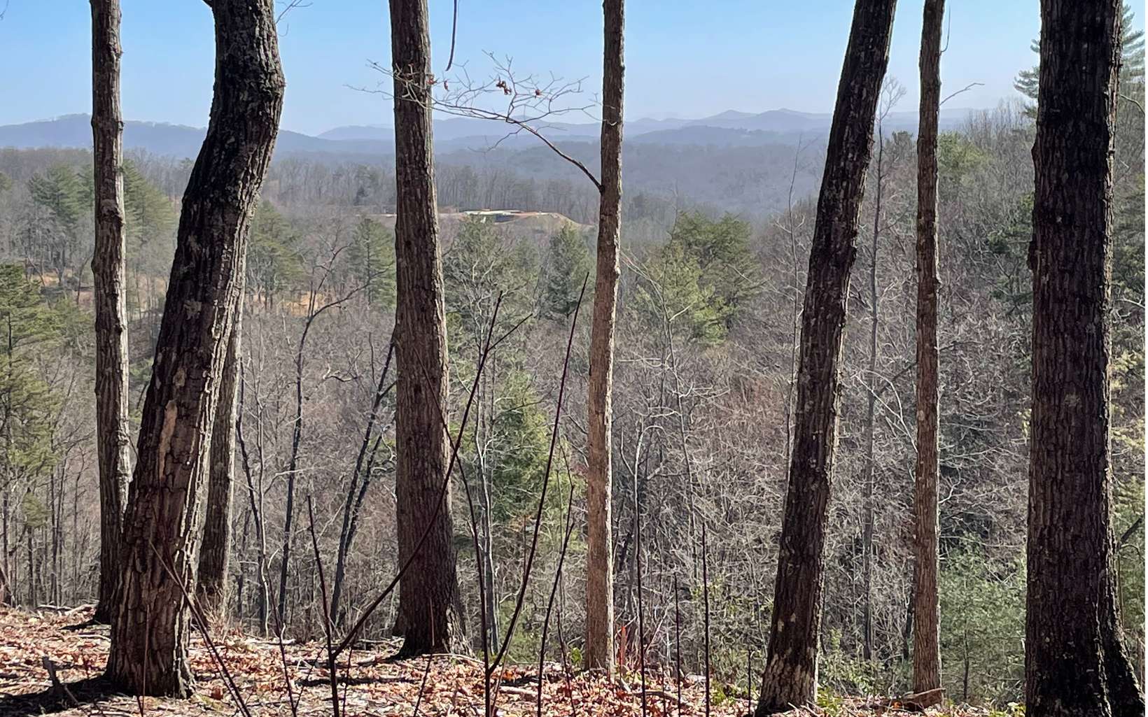 Lot 4 White Oak Circle Blue Ridge, GA 30513 - Photo 1 of 15 Main View