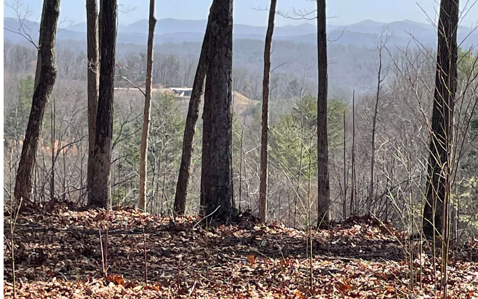 Lot 4 White Oak Circle Blue Ridge, GA 30513 - Photo 12 of 15 Additional View
