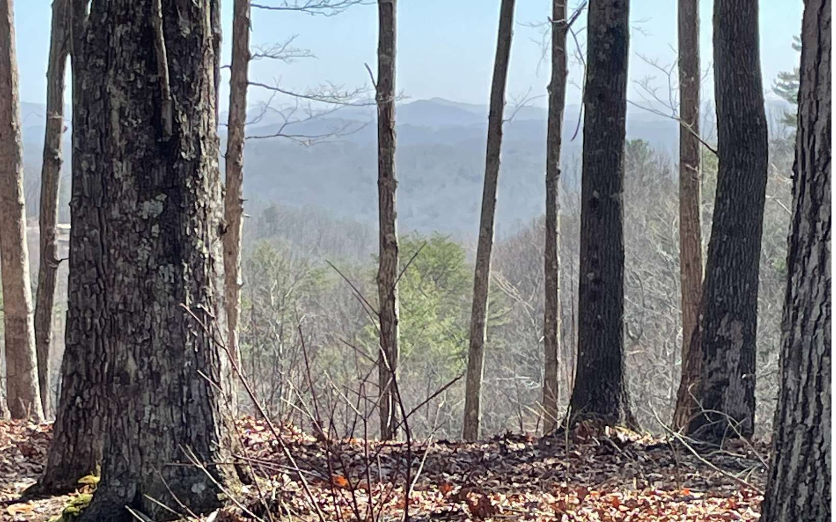 Lot 4 White Oak Circle Blue Ridge, GA 30513 - Photo 14 of 15 Additional View