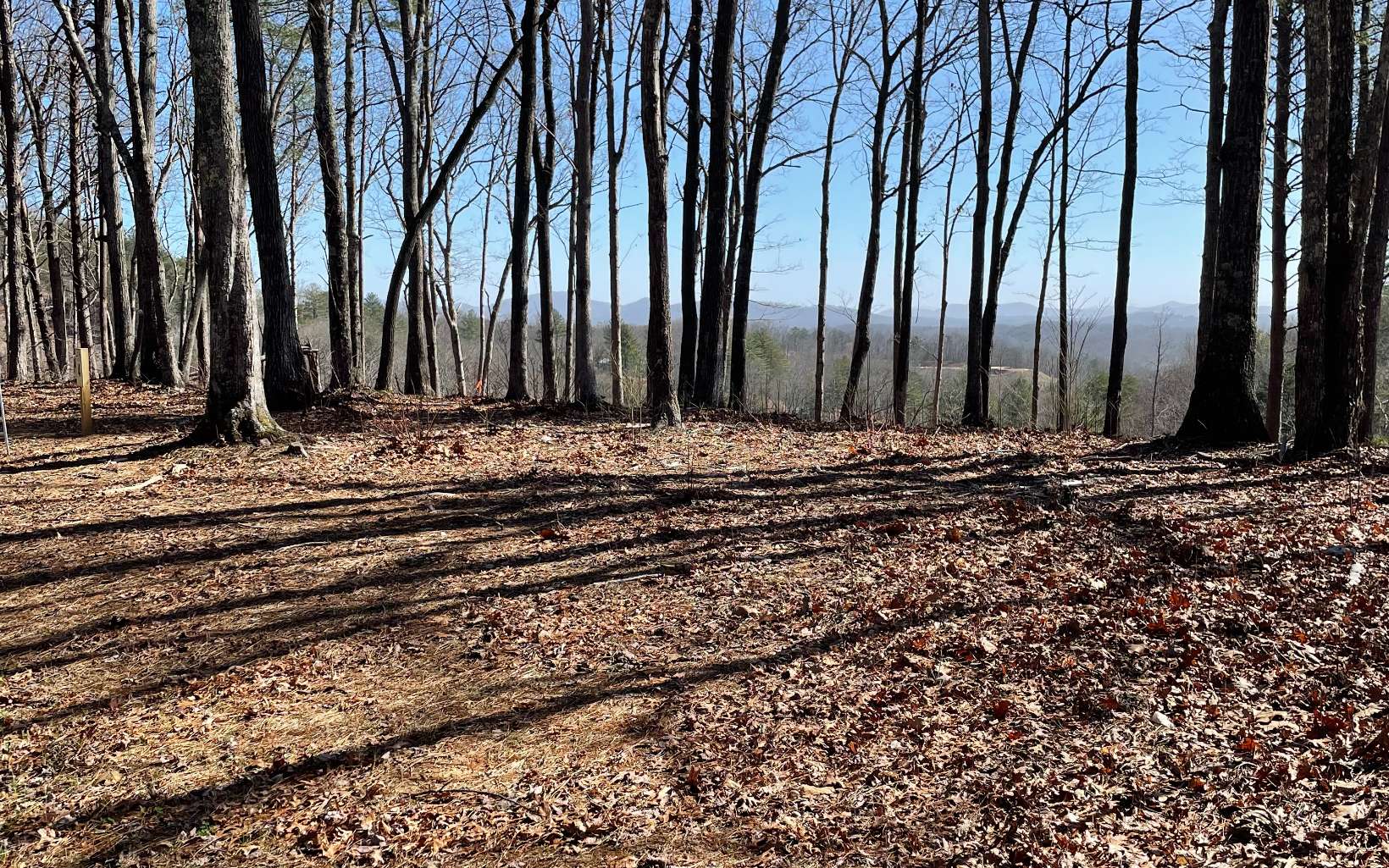 Lot 4 White Oak Circle Blue Ridge, GA 30513 - Photo 2 of 15 Additional View