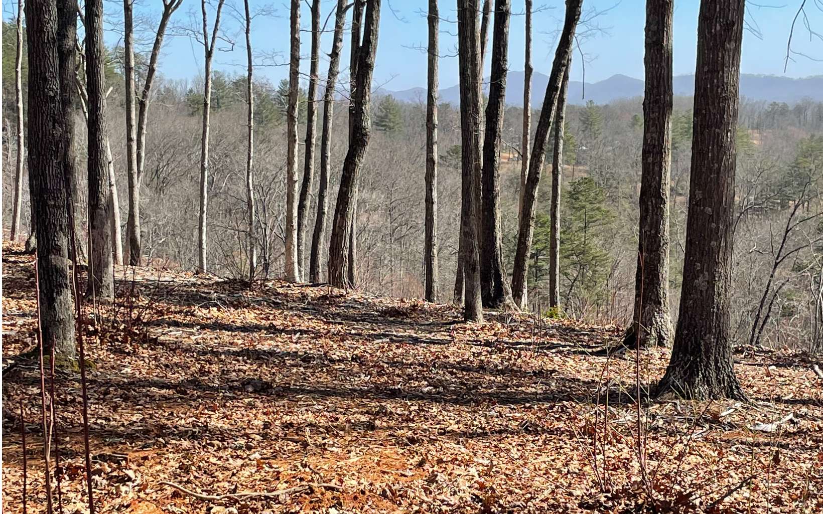 Lot 4 White Oak Circle Blue Ridge, GA 30513 - Photo 10 of 15 Additional View