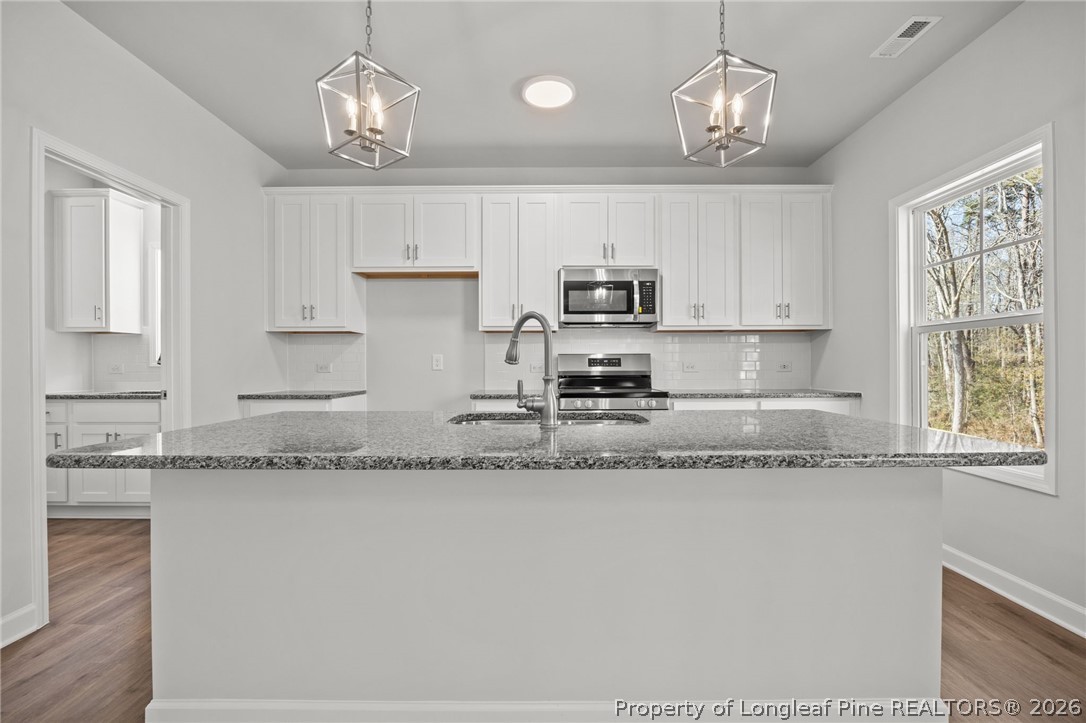 155 Michter Street Vass, NC 28394 - Photo 39 of 46 a kitchen with stainless steel appliances granite countertop a sink a window and cabinets