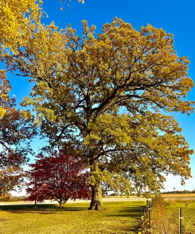 $550,000 | 27169 Brickville Road, Sycamore, IL 60178