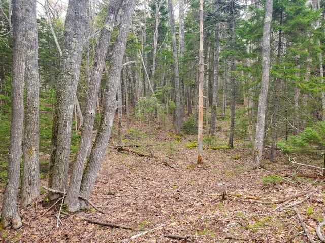 $67,500 | 36 Eastwood Court, Chamberlain, ME 04541