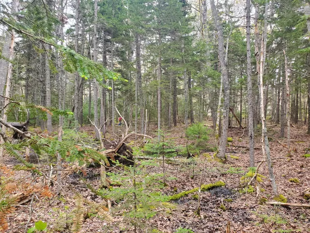 $67,500 | 36 Eastwood Court, Chamberlain, ME 04541