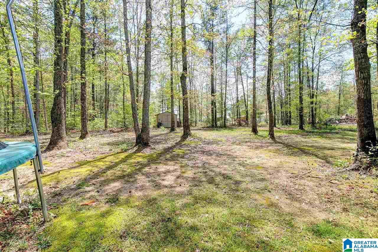 400 Turkey Trail Road Odenville, AL 35120 - Photo 21 of 21
