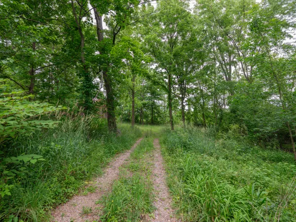 $71,800 | 354 Burgess Drive, Galesburg, MI 49053