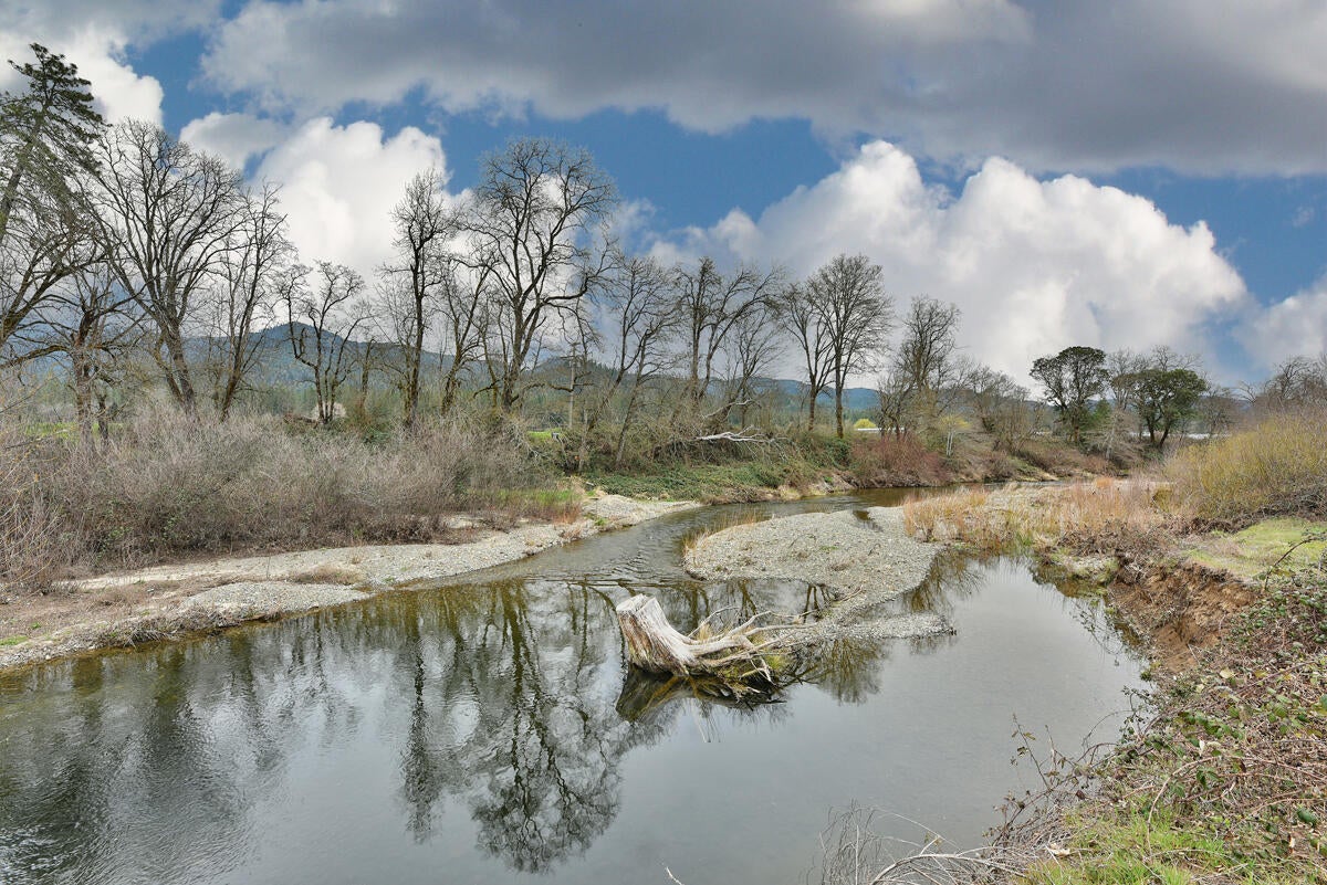 1205 Pine Grove Road Rogue River, OR 97537 - Photo 50 of 67 25