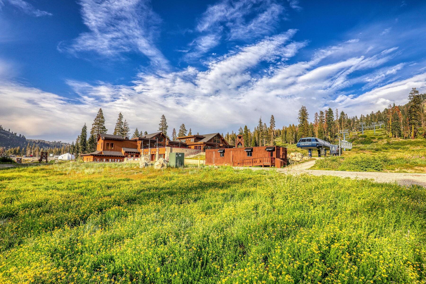 600 Sugar Bowl Road, Unit 211 Truckee, CA 96161 - Photo 19 of 21 a group of people sitting in a big yard