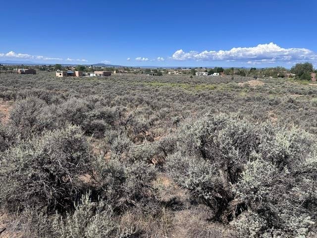 Comanche Road El Prado, NM 87529 - Photo 12 of 23 Gallery Image 12