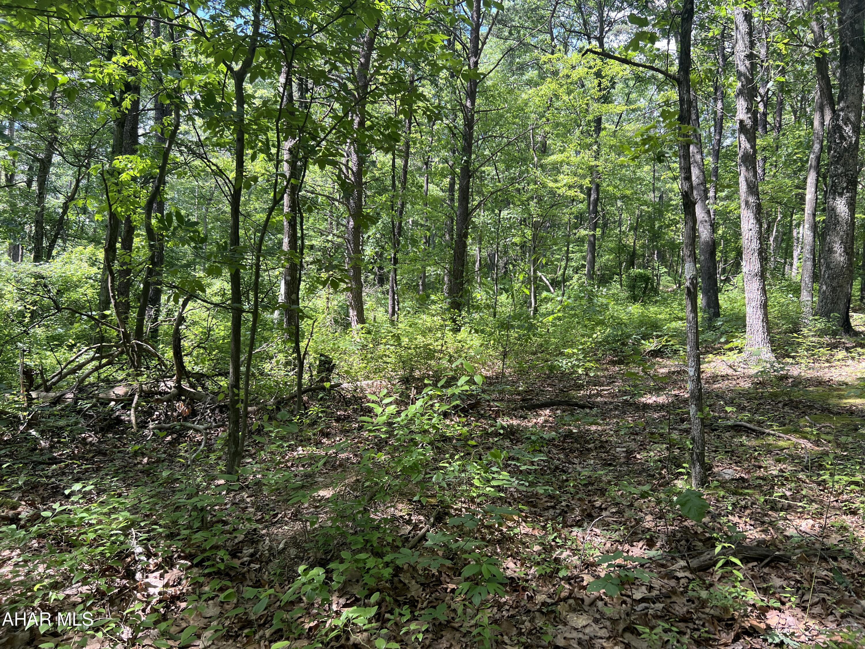 Lot 20 Pine Ridge Road Bedford, PA 15522 - Photo 12 of 16 Gallery Image 12