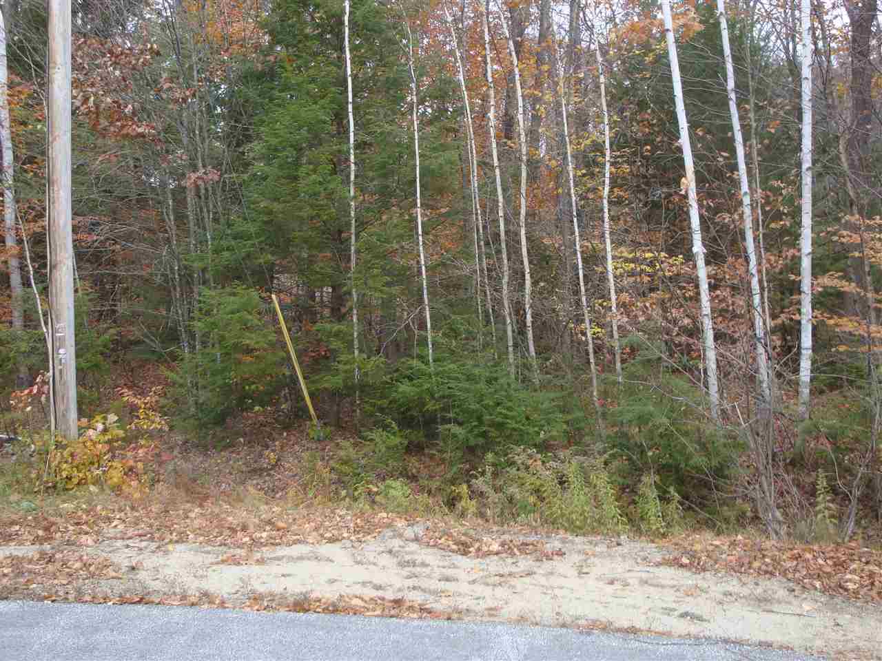 Lot 8 Alpine Road Bristol, NH 03222 - Photo 3 of 3 Gallery Image 3