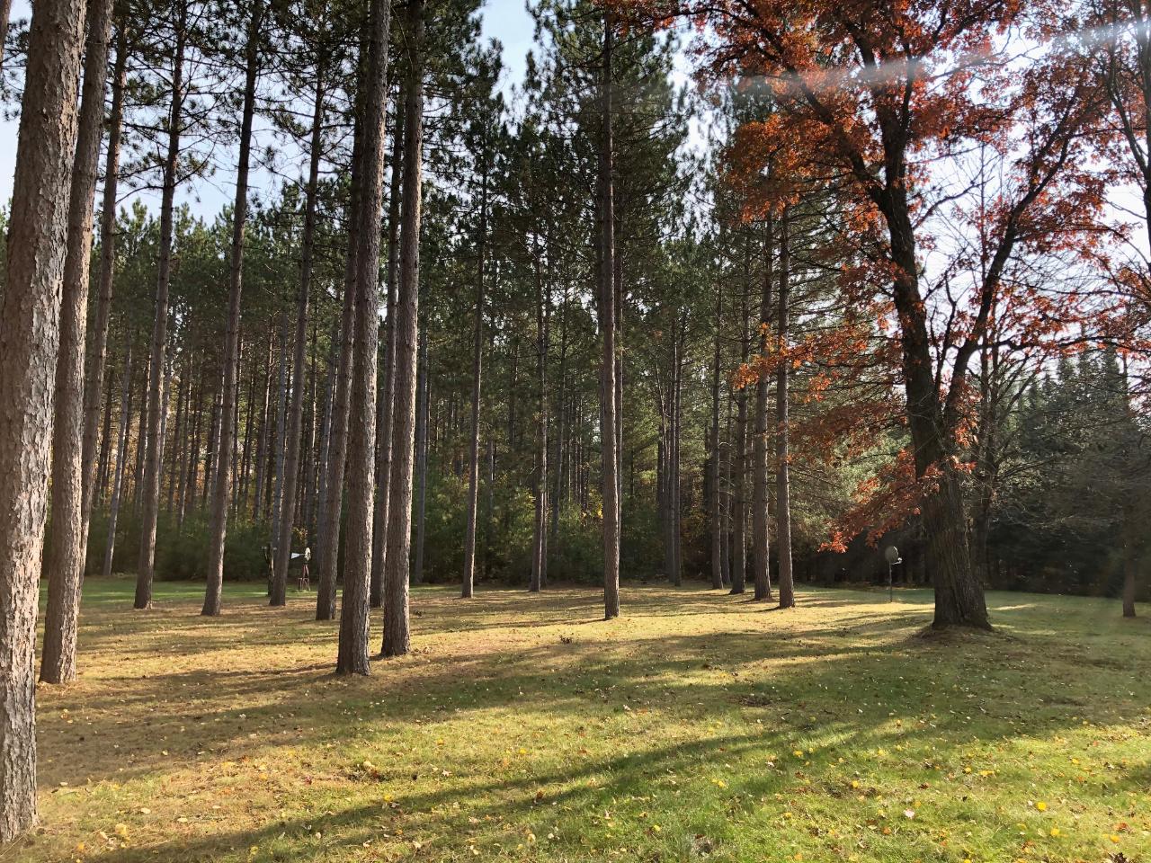 2581 Rocky Road Tomahawk, WI 54487 - Photo 20 of 24 Gallery Image 20