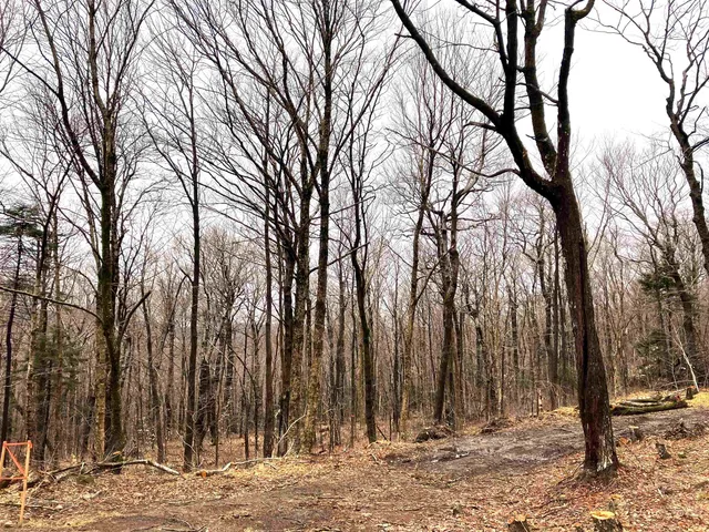 $125,000 | 406 Fox Mt Road, Unit M405 M406 & M407, Wilmington, VT 05363