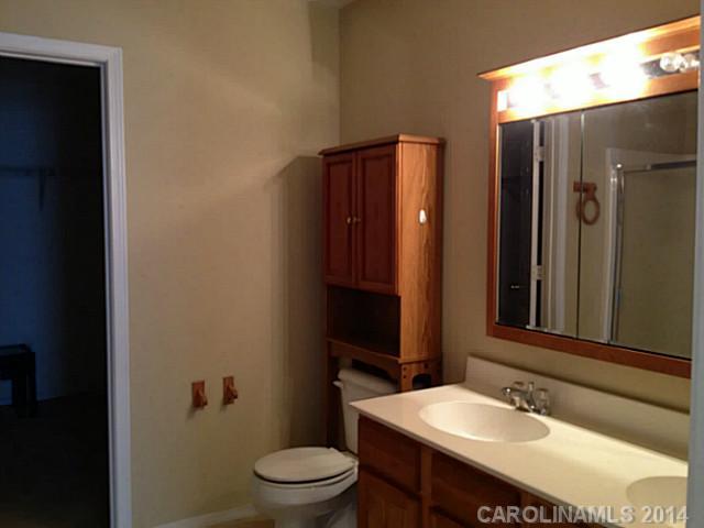 1632 Rustic Arch Way Huntersville, NC 28078 - Photo 10 of 16 a bathroom with a sink a toilet and shower