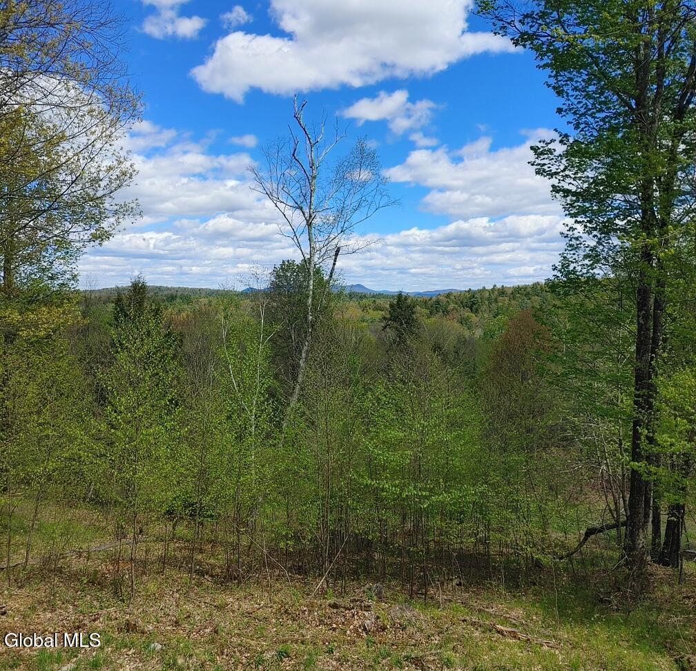 1710 Truthville Road Whitehall, NY 12887 - Photo 35 of 59 Screenshot_20260513-104932