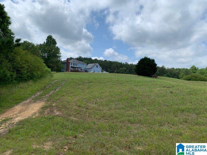 450 Blythe Road Springville, AL 35146 - Photo 29 of 29 Gallery Image 29