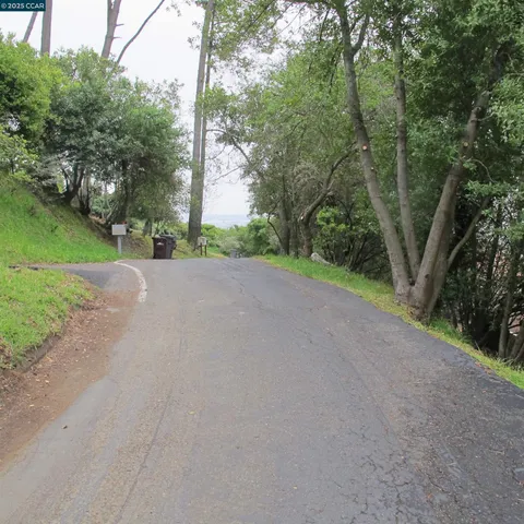 a view of a field with trees in the background