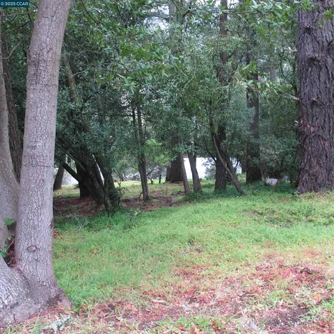 a backyard of a house with a yard and large trees