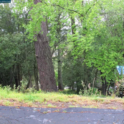 a backyard of a house with lots of green space