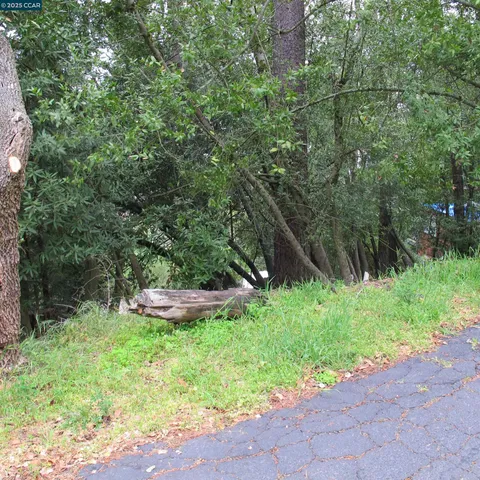 a green field with lots of trees