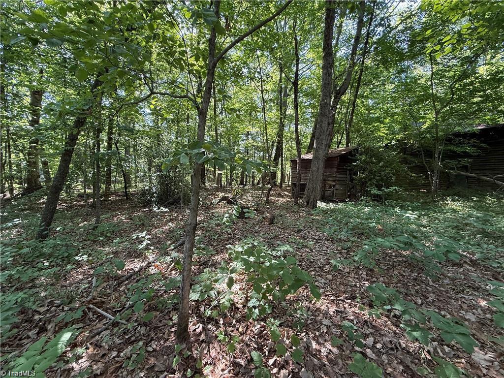 607 Kirby Road King, NC 27021 - Photo 11 of 28