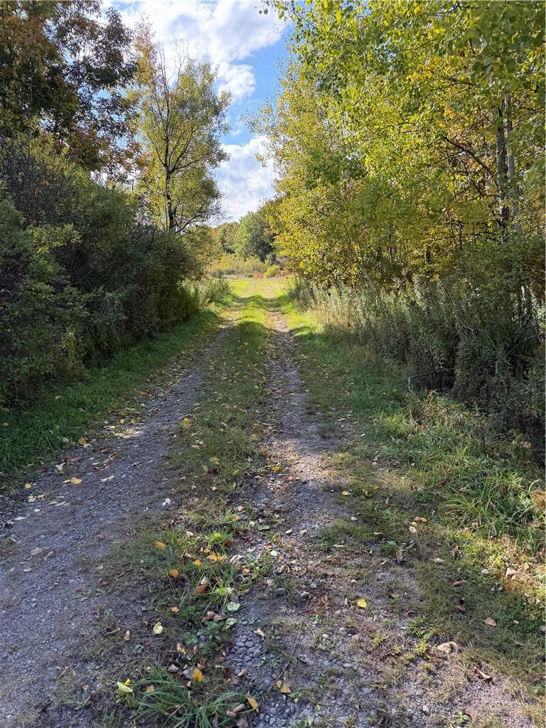 Hardnocks Road Unadilla, NY 13849 - Photo 1 of 11 Gallery Image 1