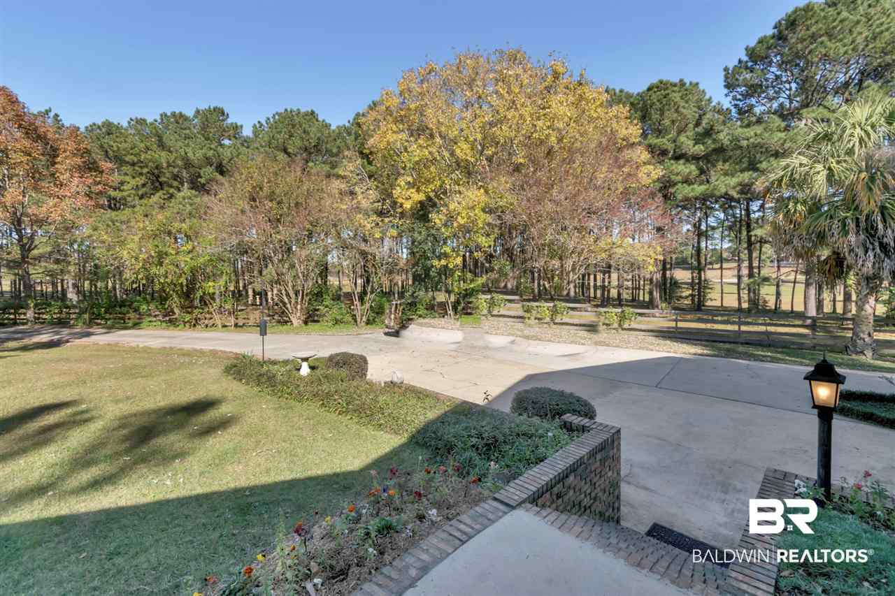 133 Allen Walker Road Grove Hill, AL 36451 - Photo 44 of 46 View of the Property