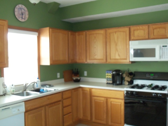 2031 Lisbon Road, Unit B Morris, IL 60450 - Photo 6 of 21 a kitchen with a sink cabinets and window