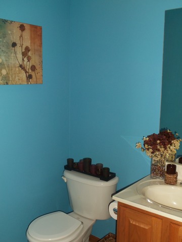 2031 Lisbon Road, Unit B Morris, IL 60450 - Photo 9 of 21 a white toilet sitting next to a sink