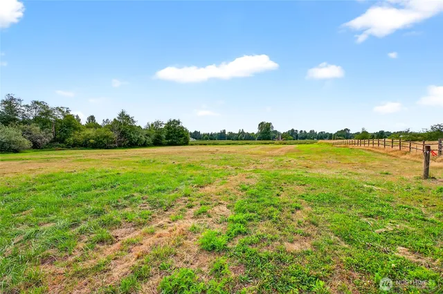 a view of a back yard