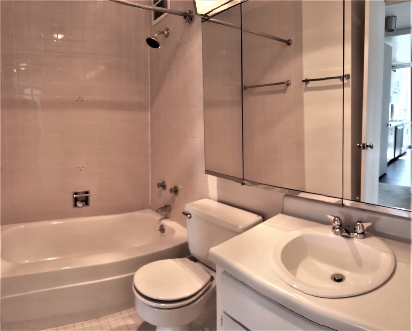 1 East Scott Street, Unit 1609 Chicago, IL 60610 - Photo 5 of 5
