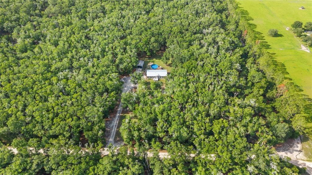 6679 Northwest 27th Place Bell, FL 32619 - Photo 49 of 55