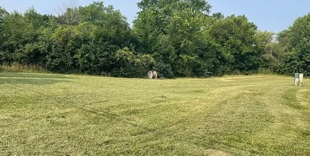 $59,000 | 226 Bluff Court, Grayslake, IL 60030