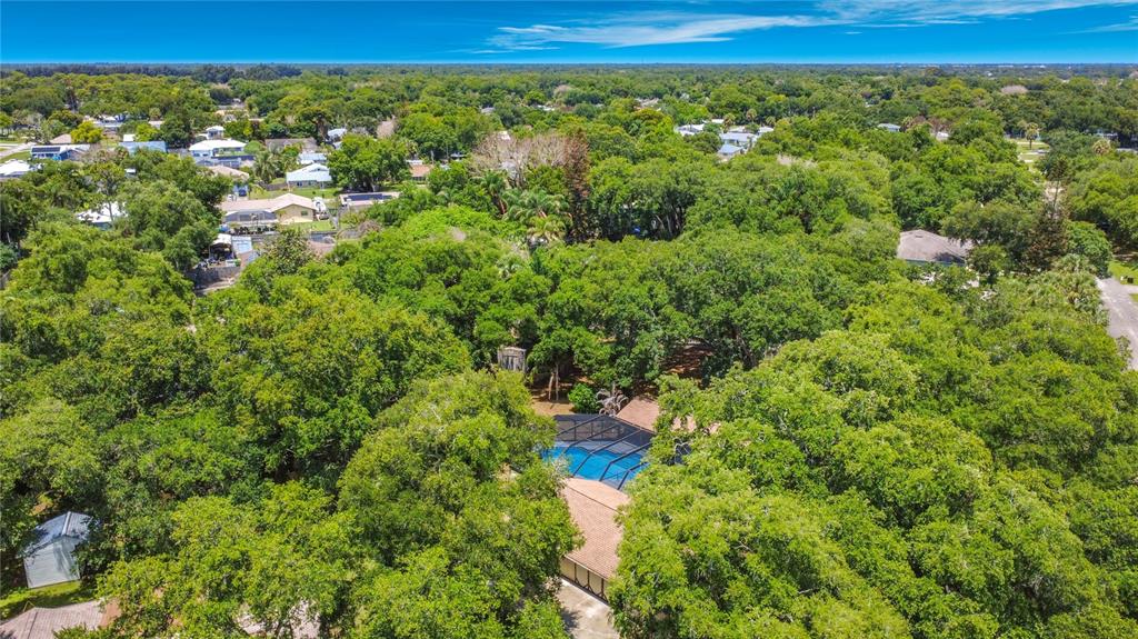 420 Nina Road Northeast Palm Bay, FL 32907 - Photo 90 of 90