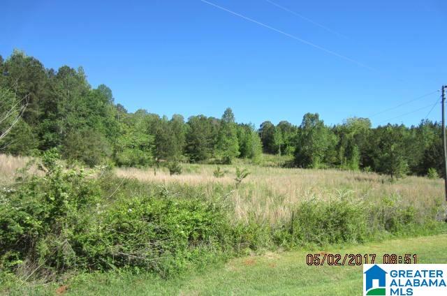 82-acres Creed Road, Unit 82 ACRES Lineville, AL 36266 - Photo 13 of 20