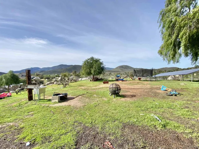 a view of a terrace with a garden and trees