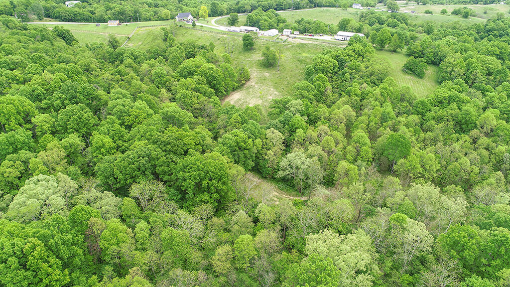 242 Belmont Road Brooksville, KY 41004 - Photo 43 of 47