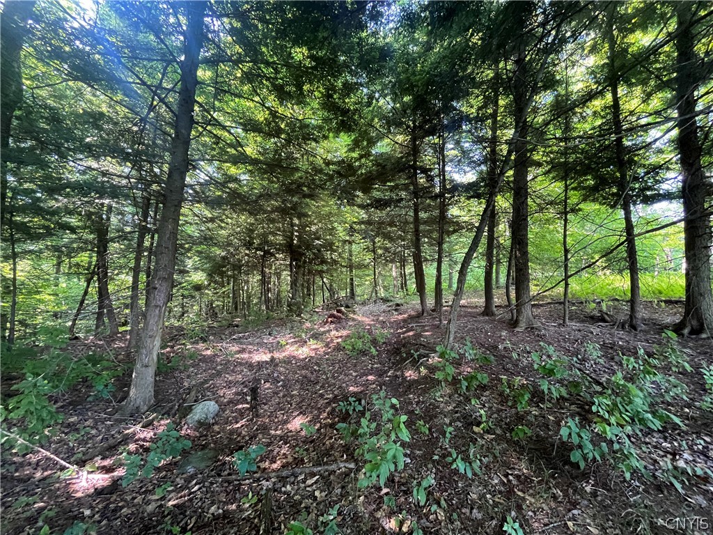 Center Road Lacona, NY 13083 - Photo 27 of 38