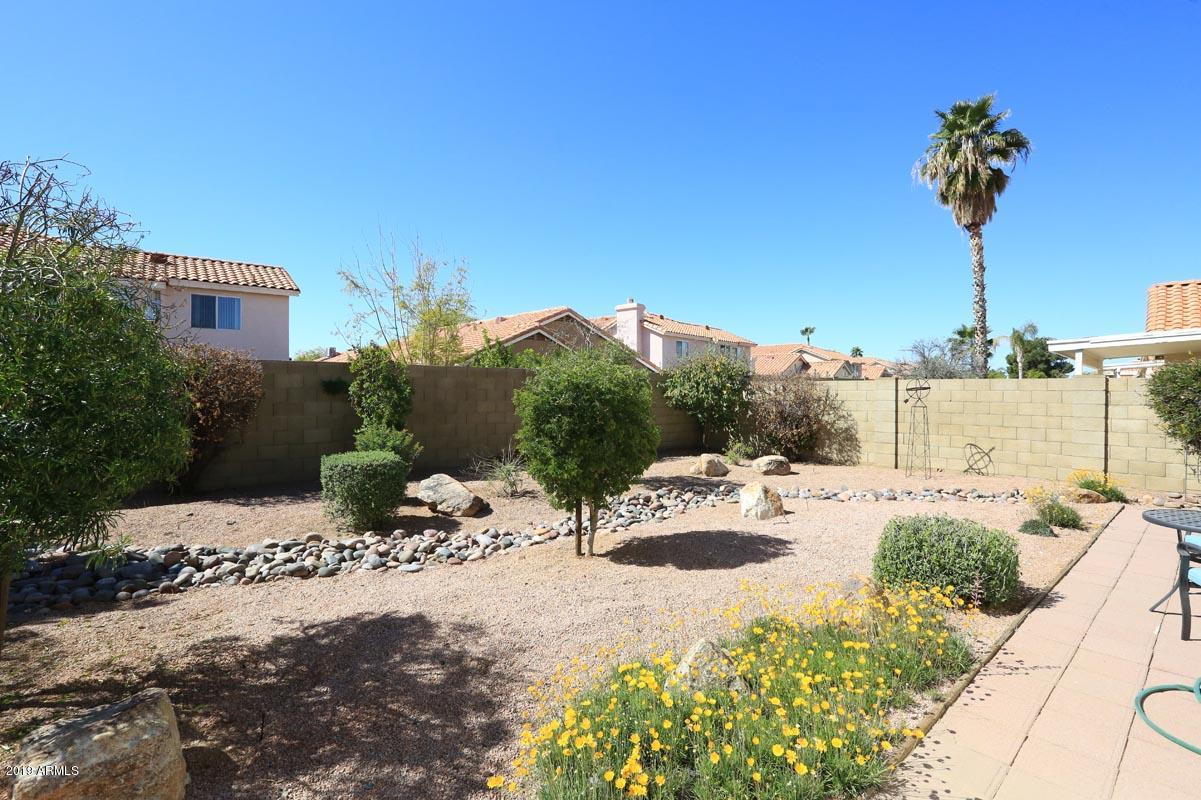1319 East St John Road Phoenix, AZ 85022 - Photo 5 of 42 Low Maintenance Yard